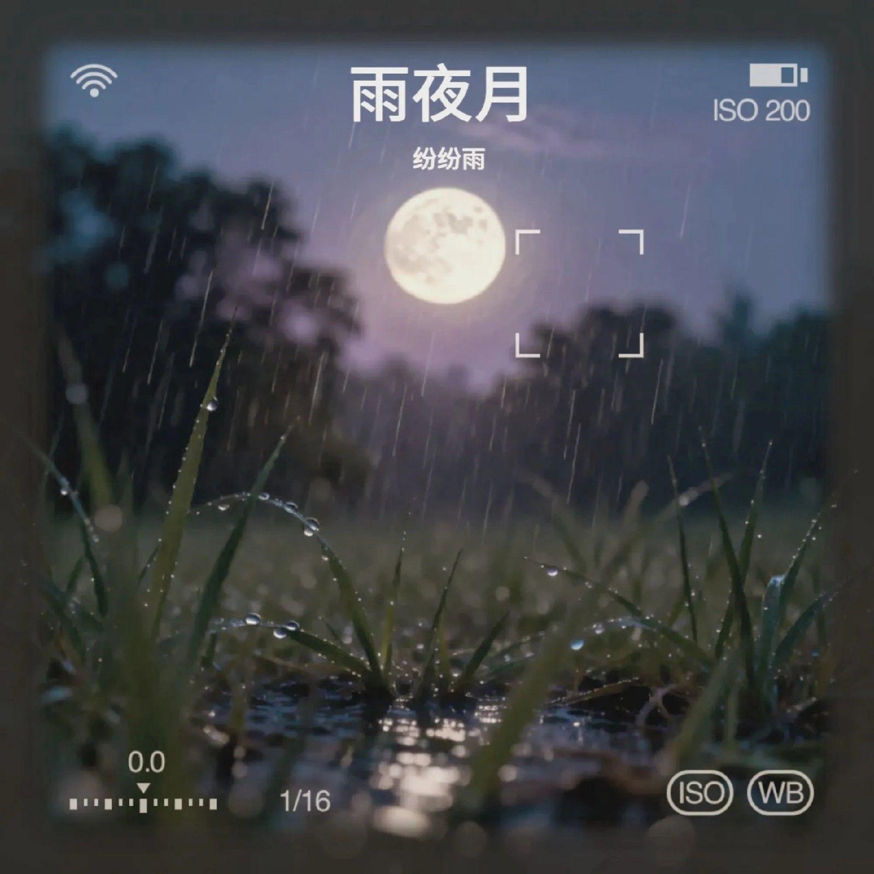 岁月里的花封面