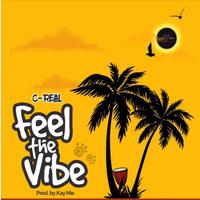 Feel The Vibe