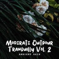 Ambient Rain: Moderate Outpour Tranquility Vol. 2