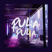 Pula Pula (feat. Mc Lr & DJ João Marconex)