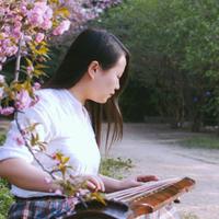 古琴韩夏