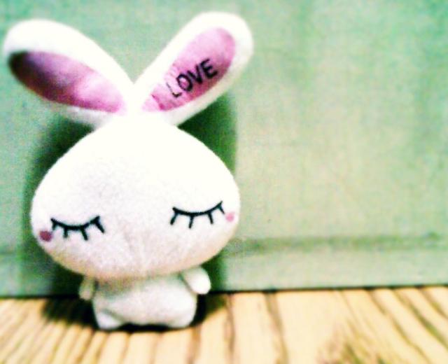 Love Rabbit