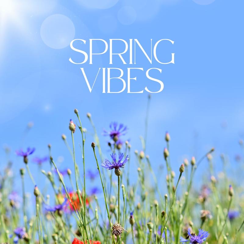 Busy Woman_Sabrina Carpenter_Spring Vibes | 在线播放_Busy Woman歌词_Busy Woman下载 | 网易云音乐