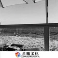 桥边姑娘 (DJ版)封面