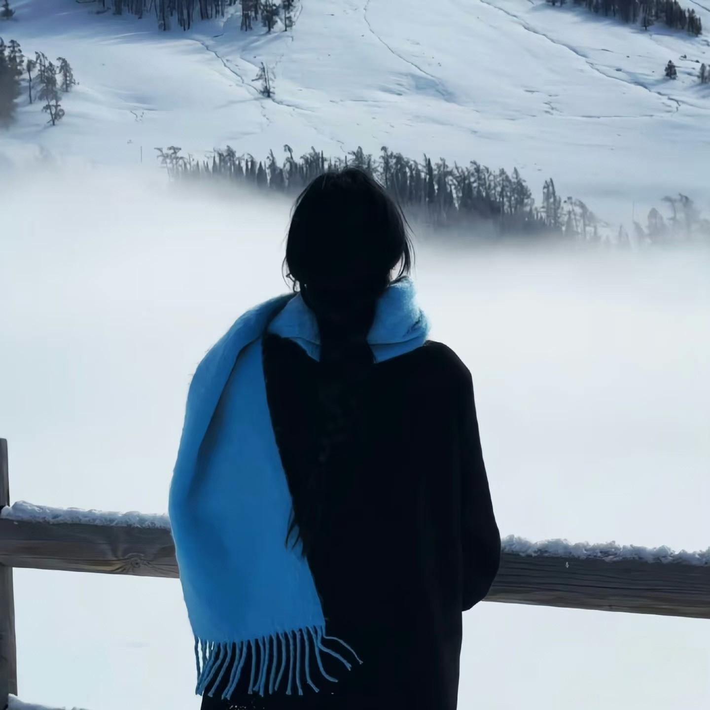 风里已经有了冬天的味道封面