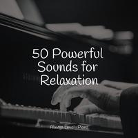 50 Beautiful Piano Classics for Sleeping