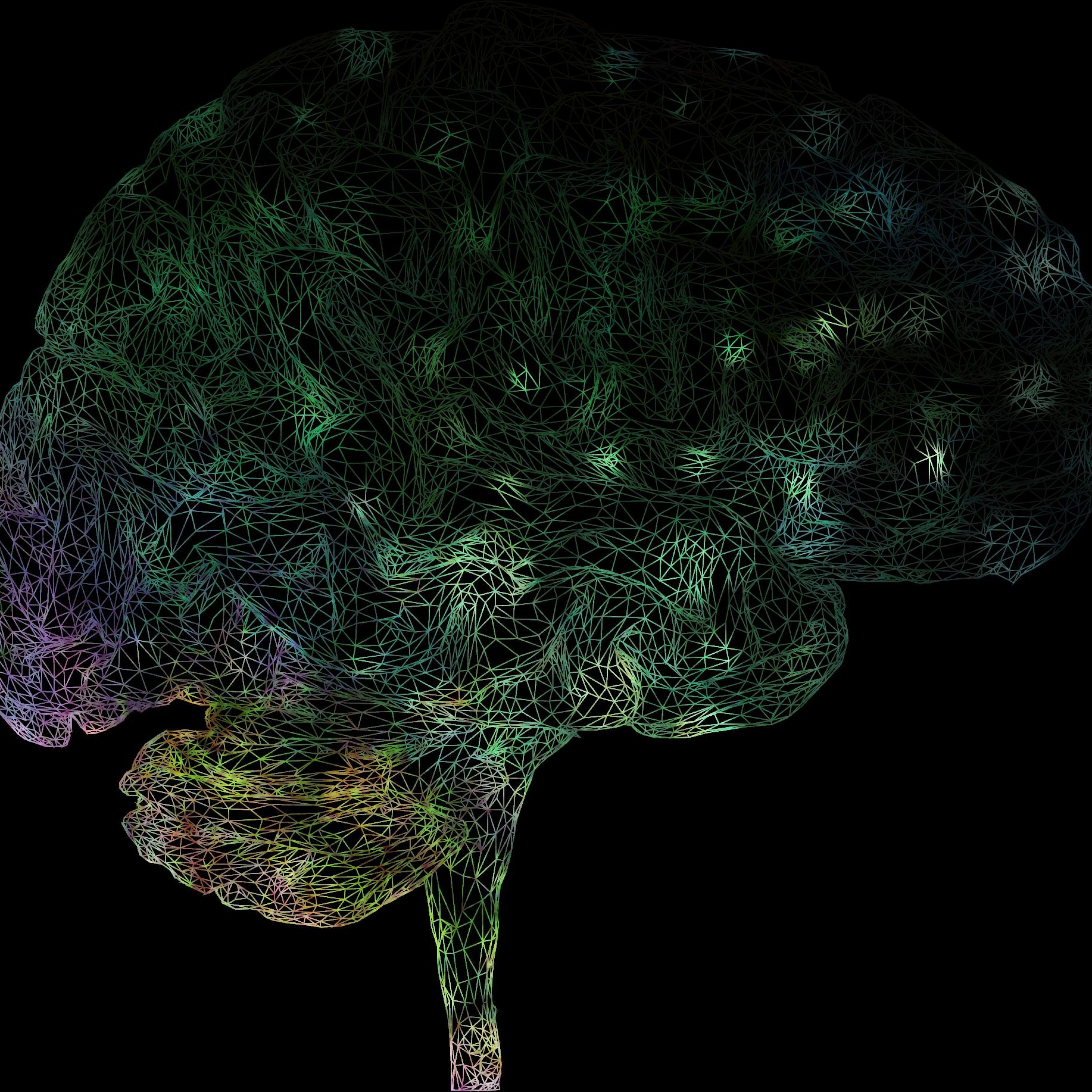 Clear (feat. Shayla Hamady)