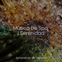 Música De Spa | Serenidad