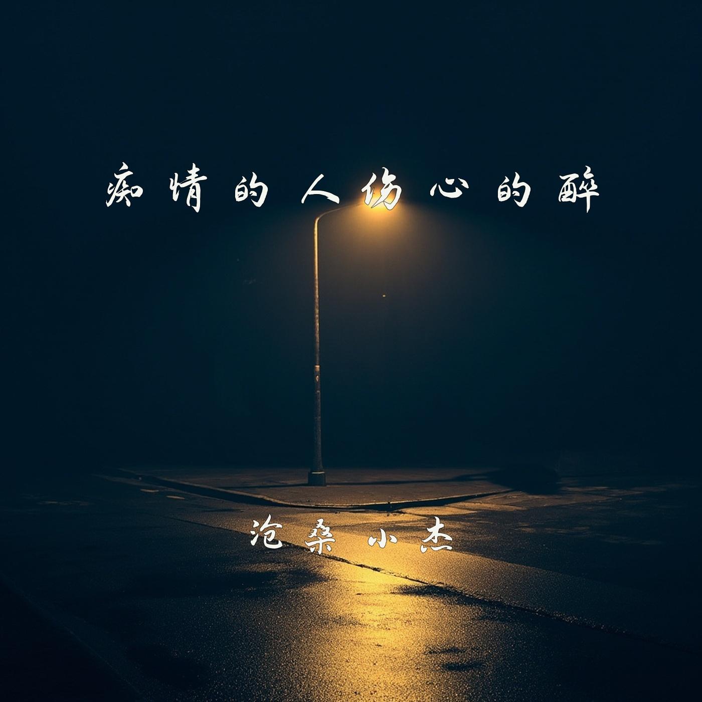 痴情的人伤心的醉封面