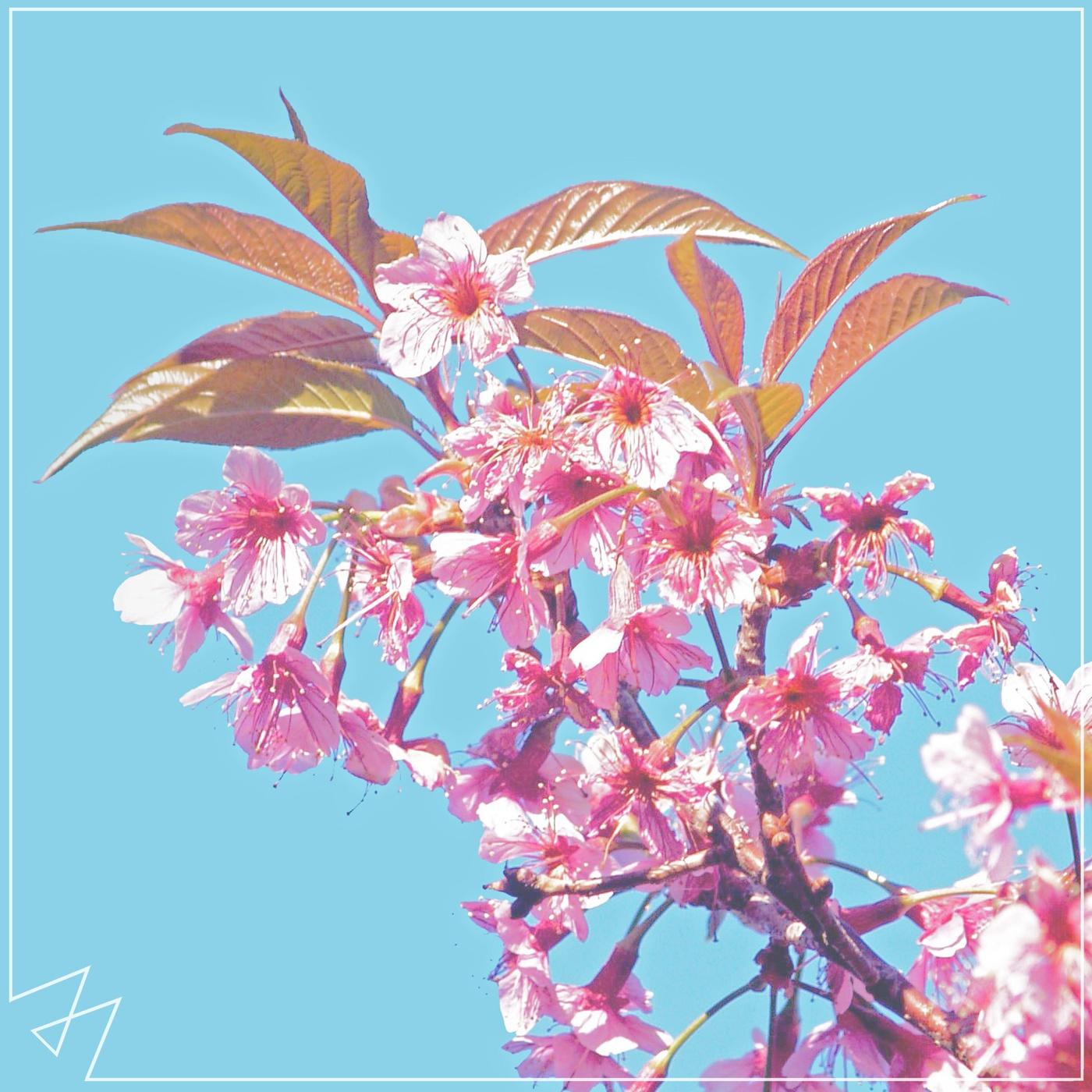 New Rules_MADILYN_New Rules | 在线播放_New Rules歌词_New Rules下载 | 网易云音乐