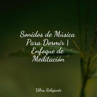 Sonidos de Música Para Dormir | Enfoque de Meditación