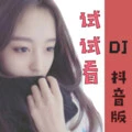 해볼래 (试试看)(DJ阿羽版)封面