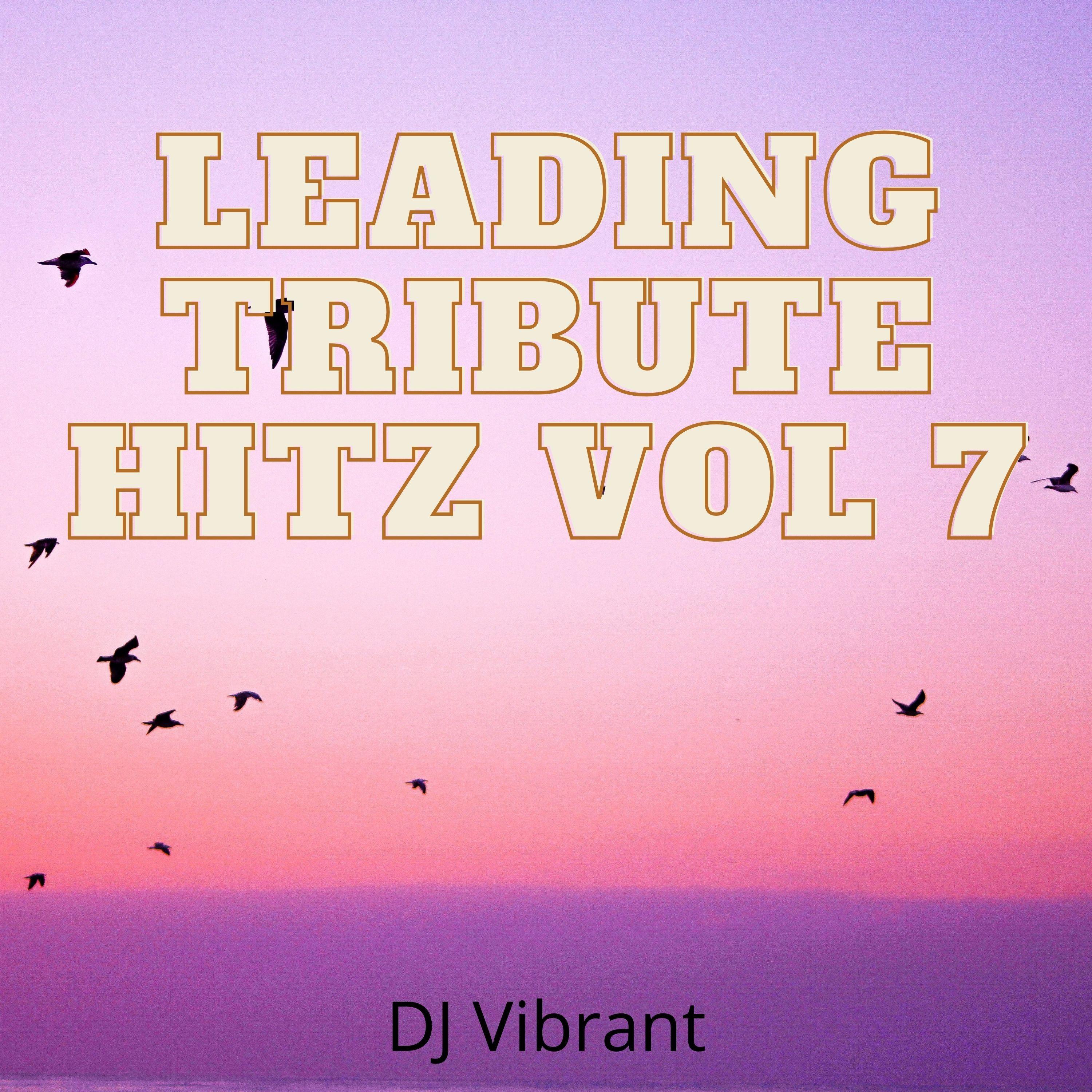 Not Angry (Tribute Version Originally Performed By Chris James) - DJ Vibrant封面