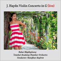 Haydn: Violin Concerto in G Major, Hob. VIIa:4 (Live)