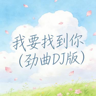 我要找到你（DJ版）封面
