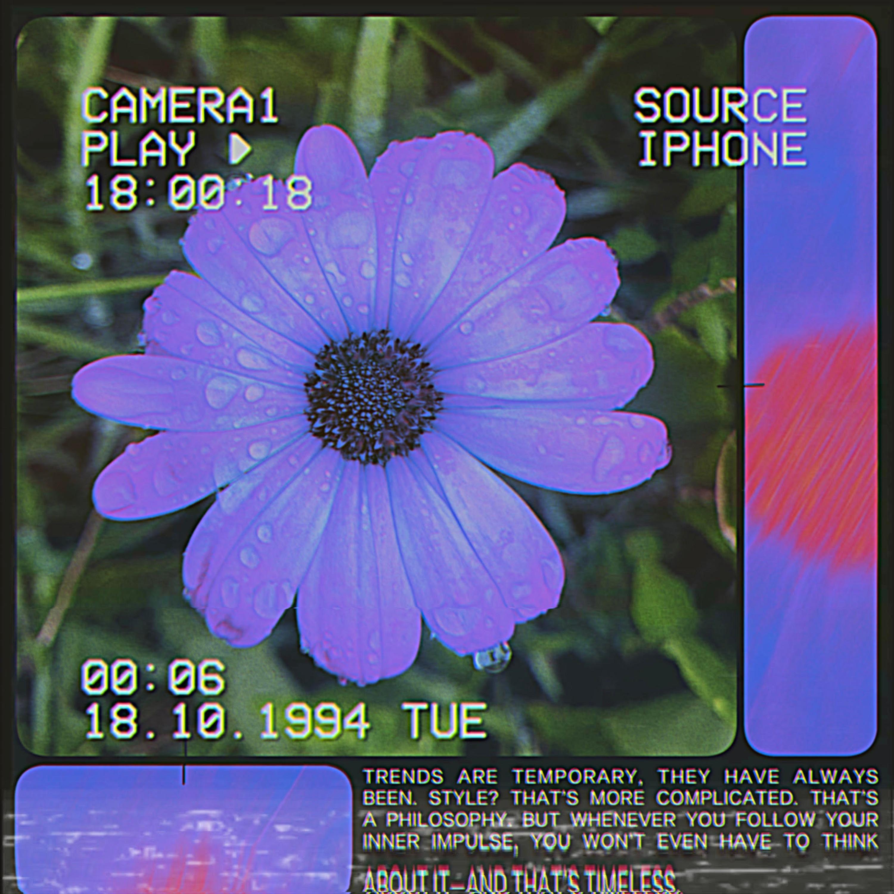 dimanche (feat. bertille)