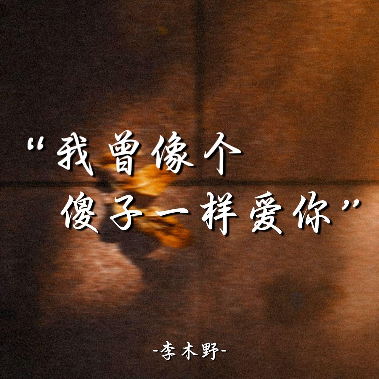 我曾像个傻子一样爱你封面