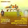 Abhijith Anilkumar - Neelum Manal Paatha (From 