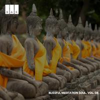 Blissful Meditation Soul, Vol. 08