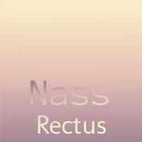 Nass Rectus