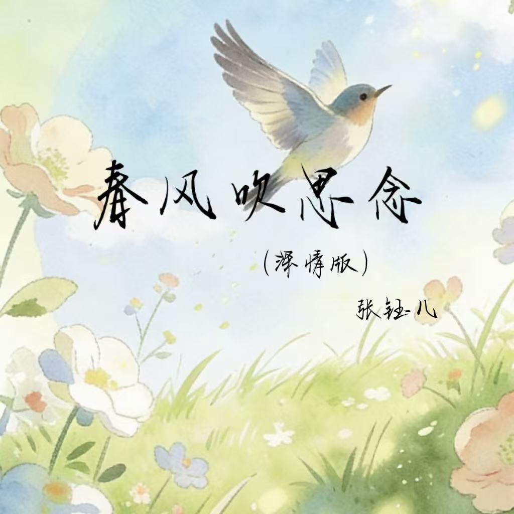 春风吹思念(深情版)封面