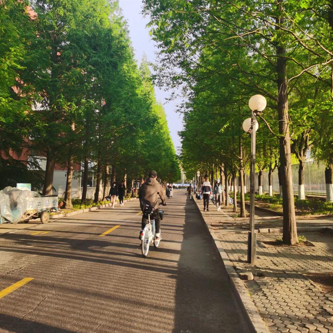 直到路的尽头 伴奏封面