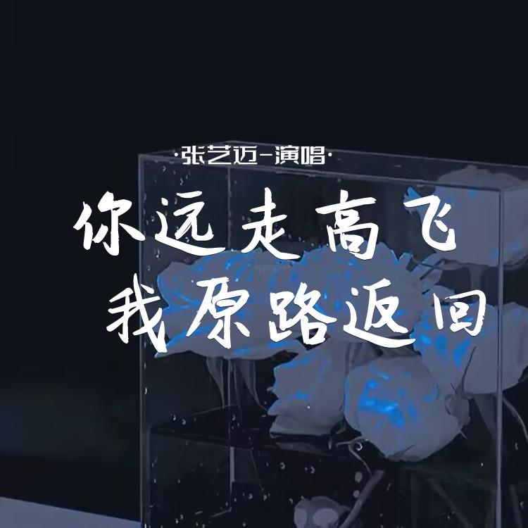 你远走高飞 我原路返回 (合唱版)封面