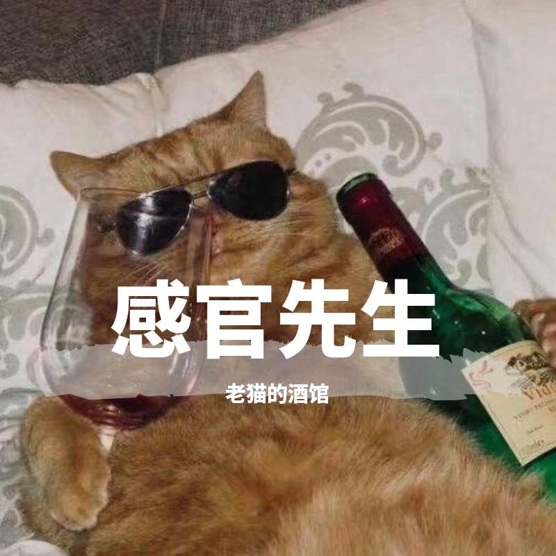 感官先生封面