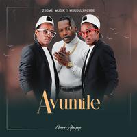 Avumile (feat. Mduduzi Ncube)