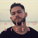 Callejo