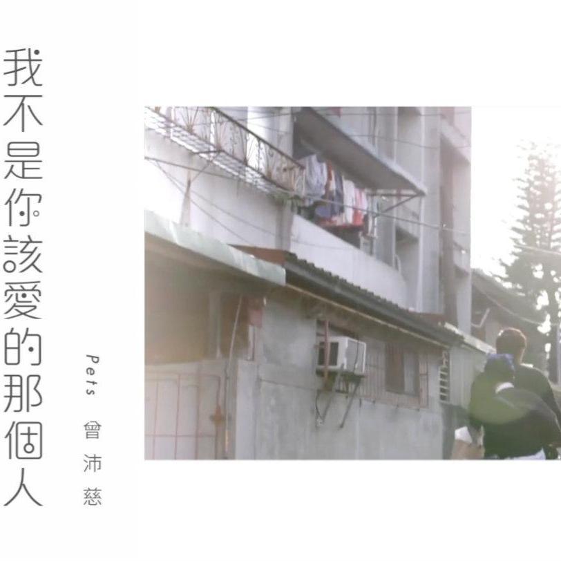 我不是你该爱的那个人封面