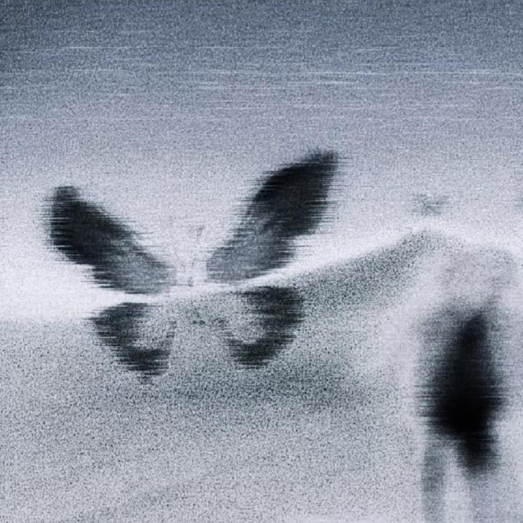 ̸V̸̸V̸̸S̸̸2̸̸4̸̸K̸  