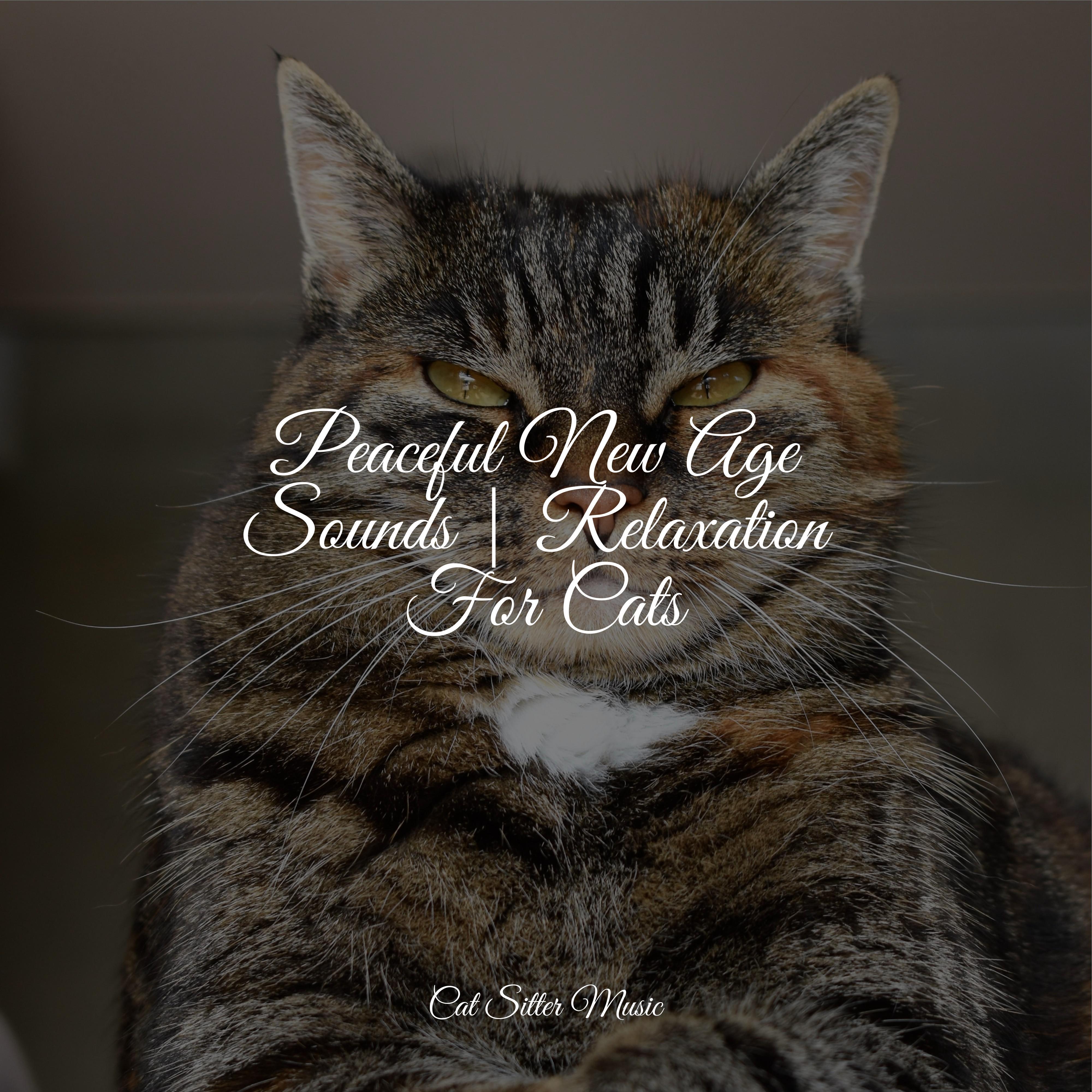 Stress Removal_Music for Relaxing Cats_Peaceful New Age Sounds | Relaxation For Cats | 在线播放_Stress Removal歌词_Stress Removal下载 | 网易云音乐