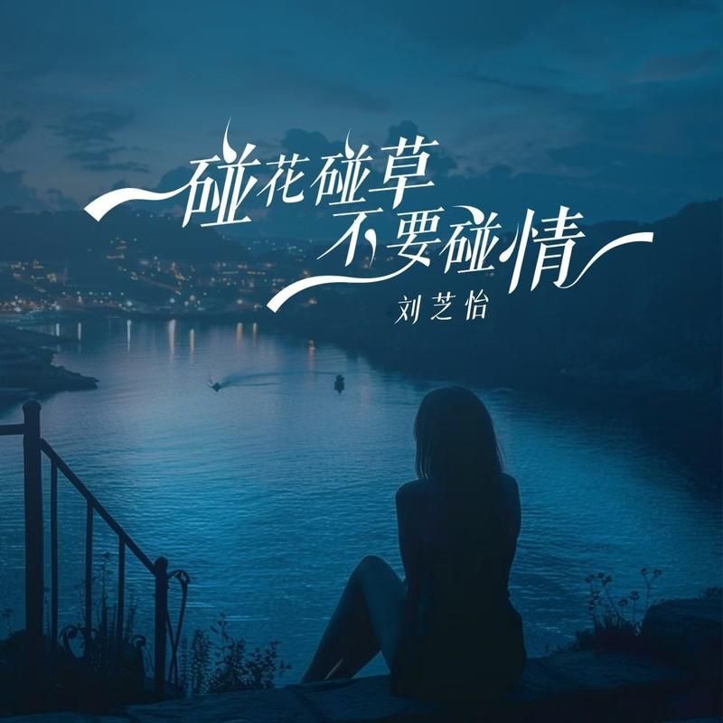 碰花碰草不要碰情封面