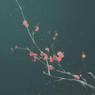 古风圈百位词作，一人一首代表作