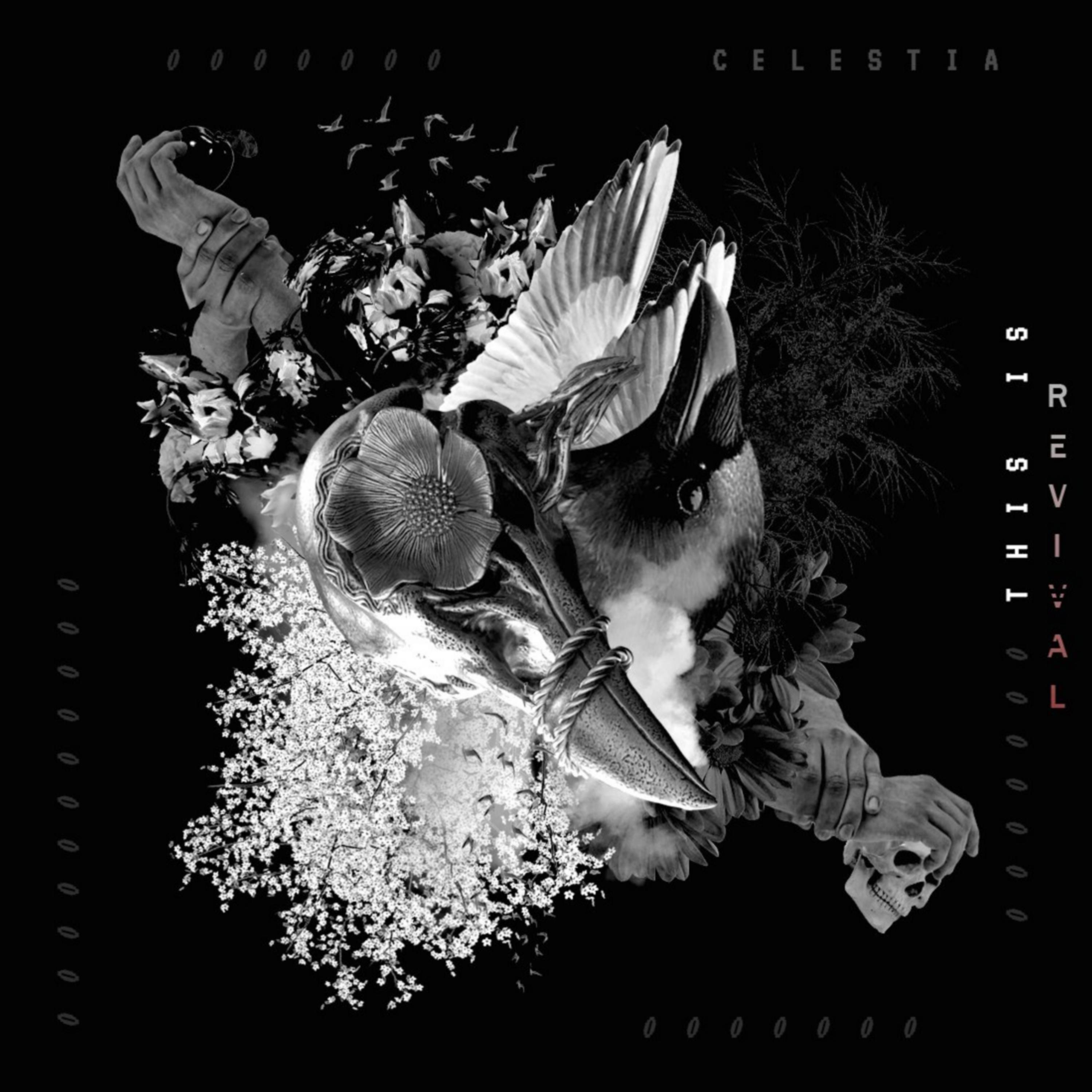 Celestia - Nowhere To Be Found - Bones Rendition