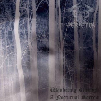 Wandering Through a Nocturnal Sorrow