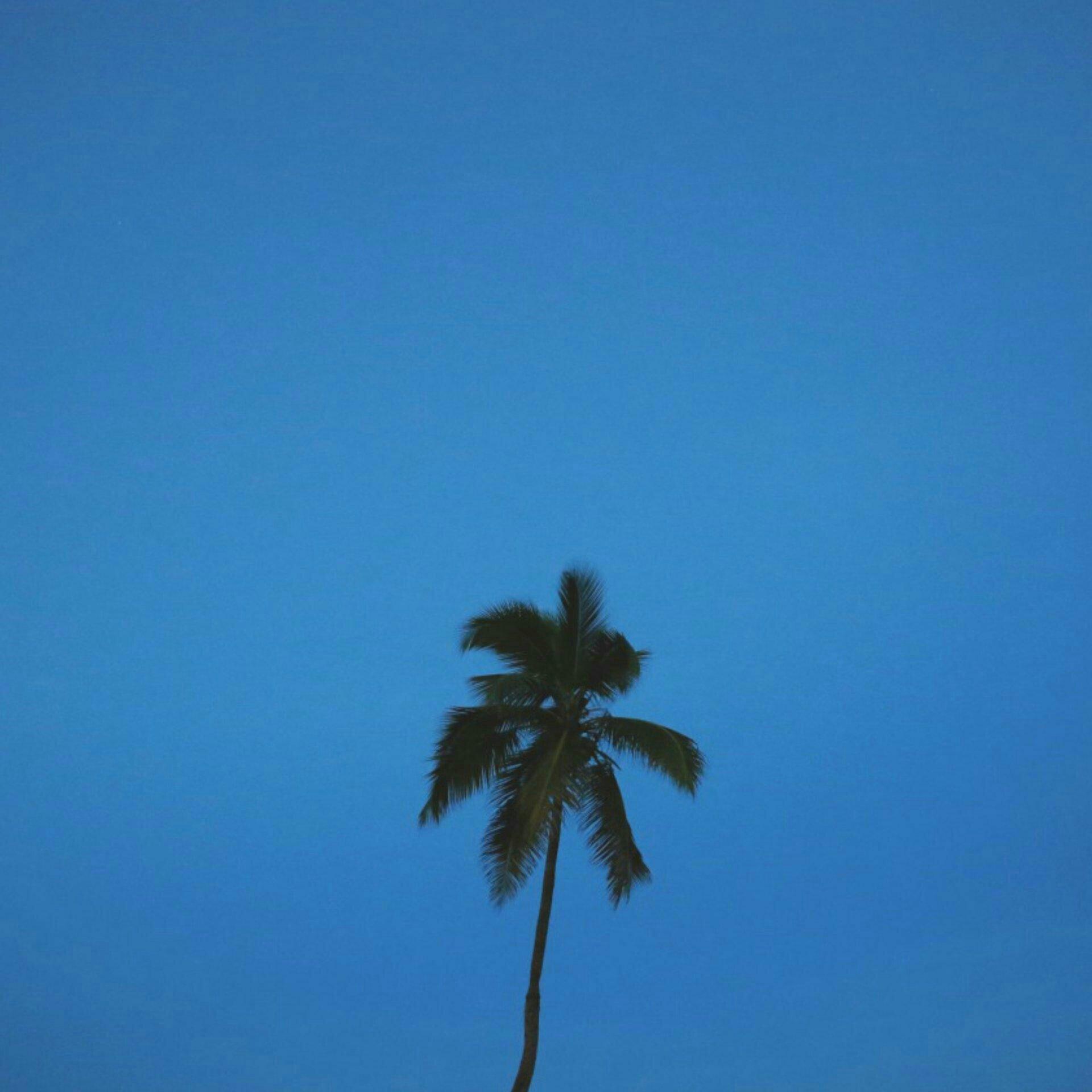 Deep house/中东会馆