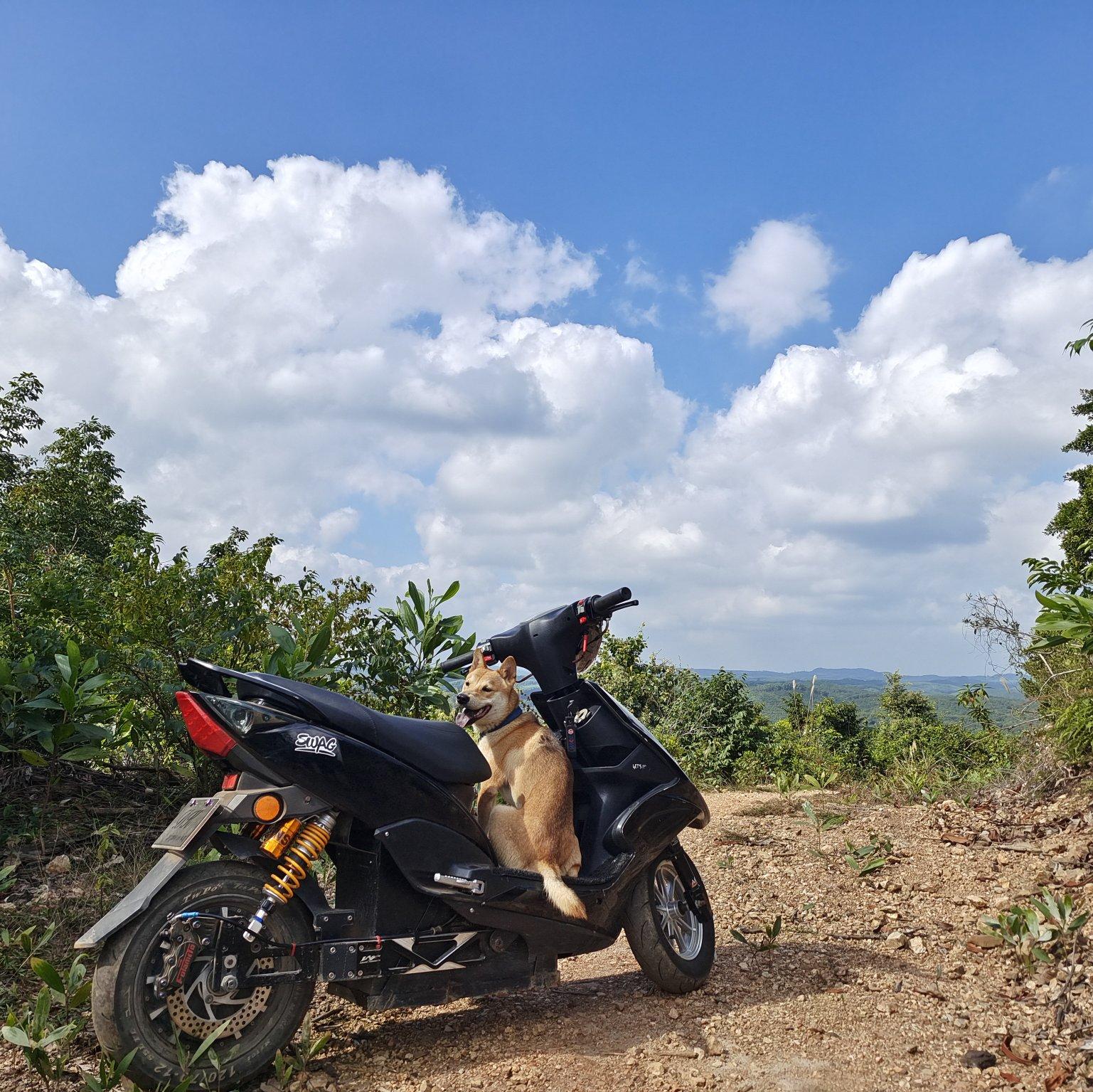 黄莺莺-回心转意越南鼓RMIX（YING.HUA remix）