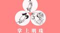 掌上明珠专辑