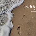 风吹散了誓言