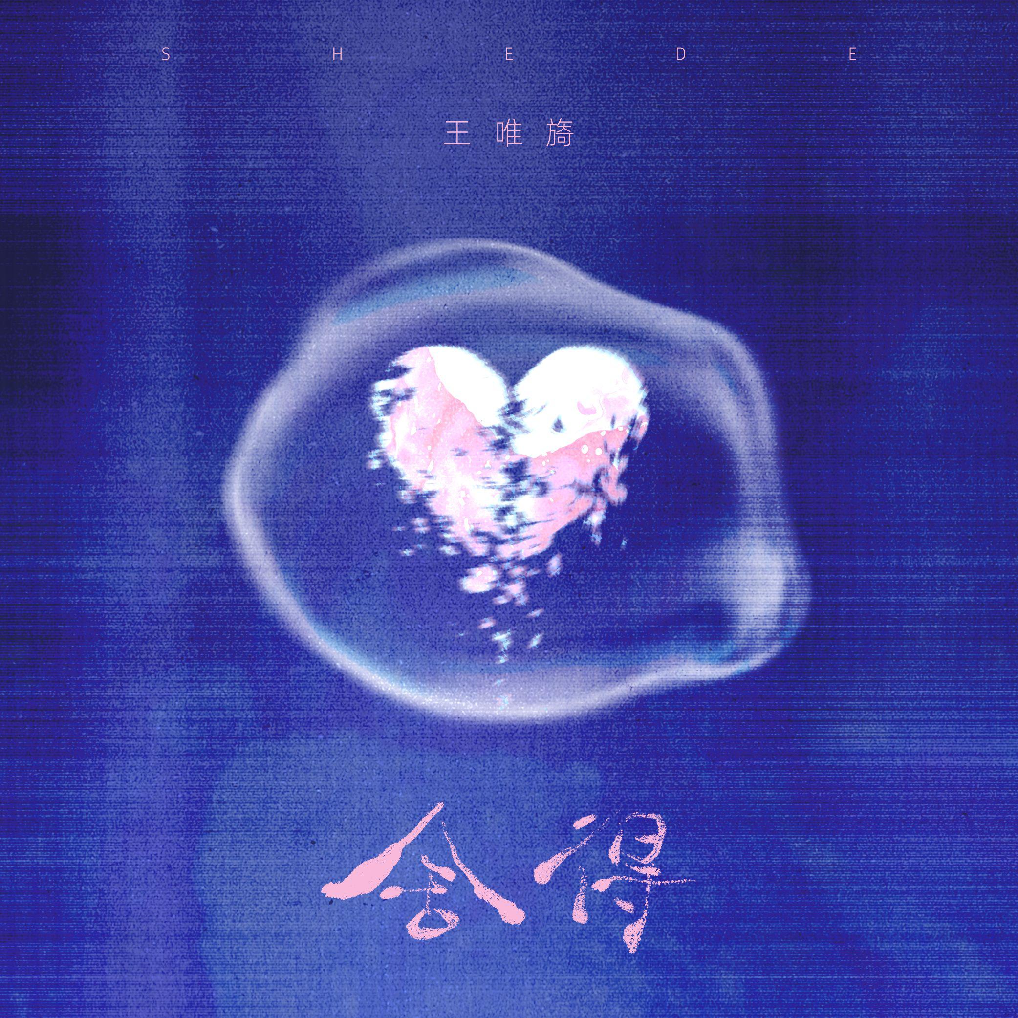 舍得（可是爱已成两刃的利剑）专辑