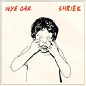 Shriek (Deluxe Version)专辑