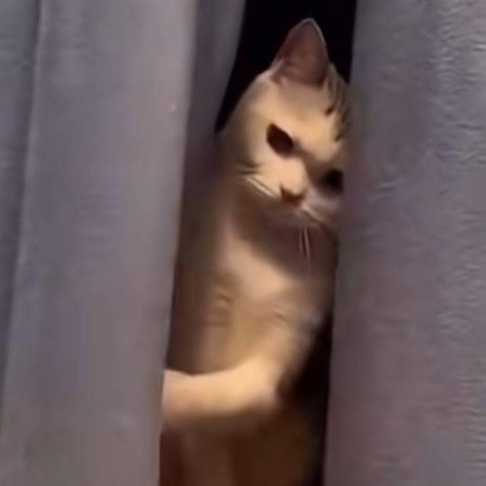 情感合集