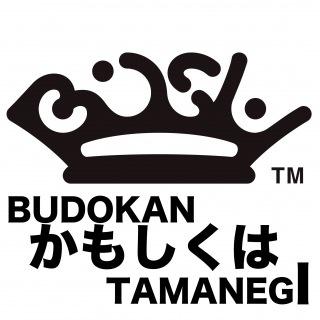 BUDOKANかもしくはTAMANEGI专辑