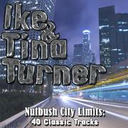 Nutbush City Limits - 40 Classic Tracks专辑