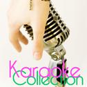 Karaoke Collection, Vol. 16专辑