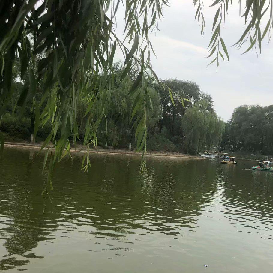 小楼月光