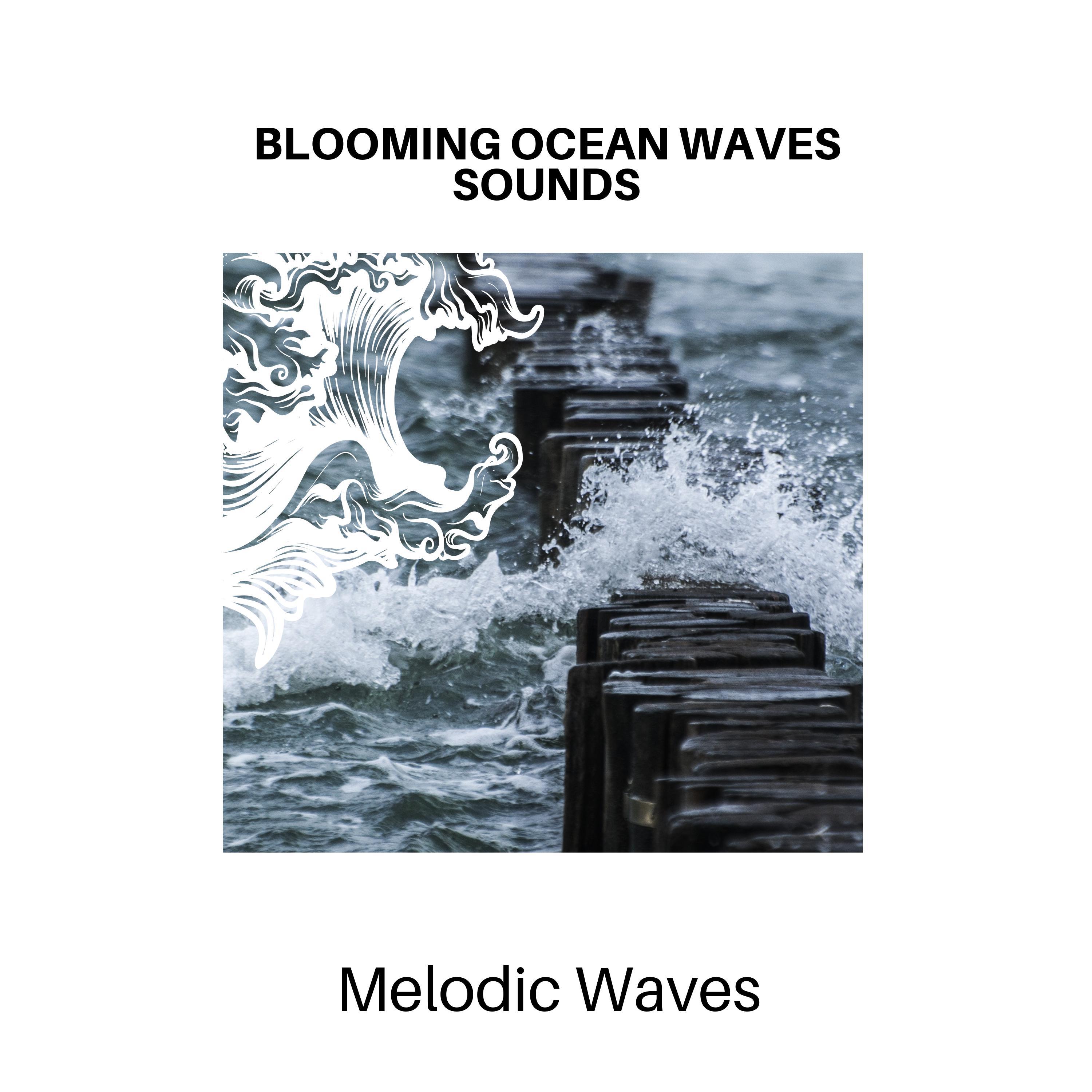 Ambisonic Ocean Waves - Ocean Wave Rush