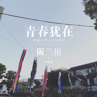 节目歌单【青春犹在-阪兰根25】